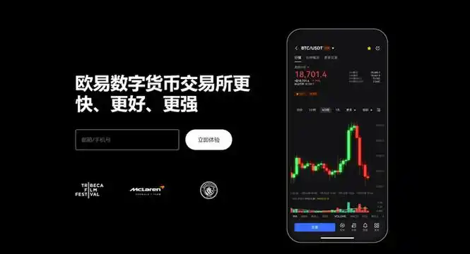 oyi安卓app下载平台展示图
